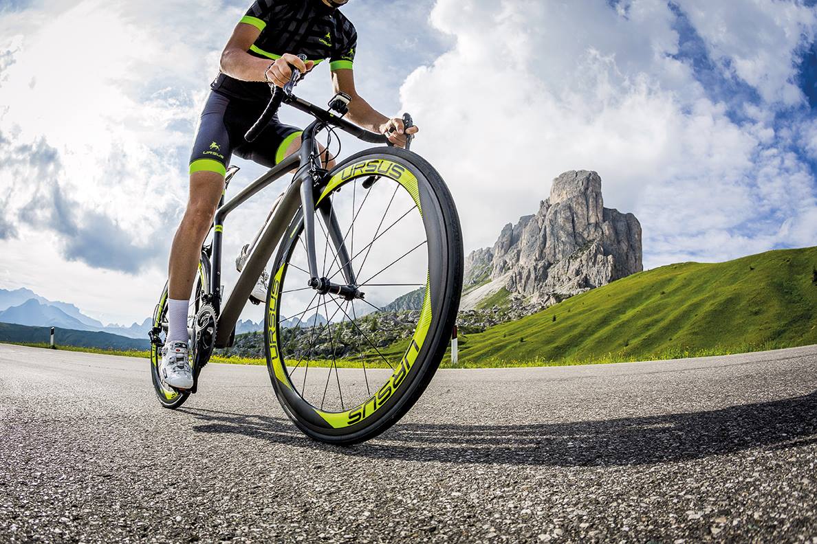 Ursus-Shop -Ursus-Shop 16819422 1540632259298754 582122053251789466 o