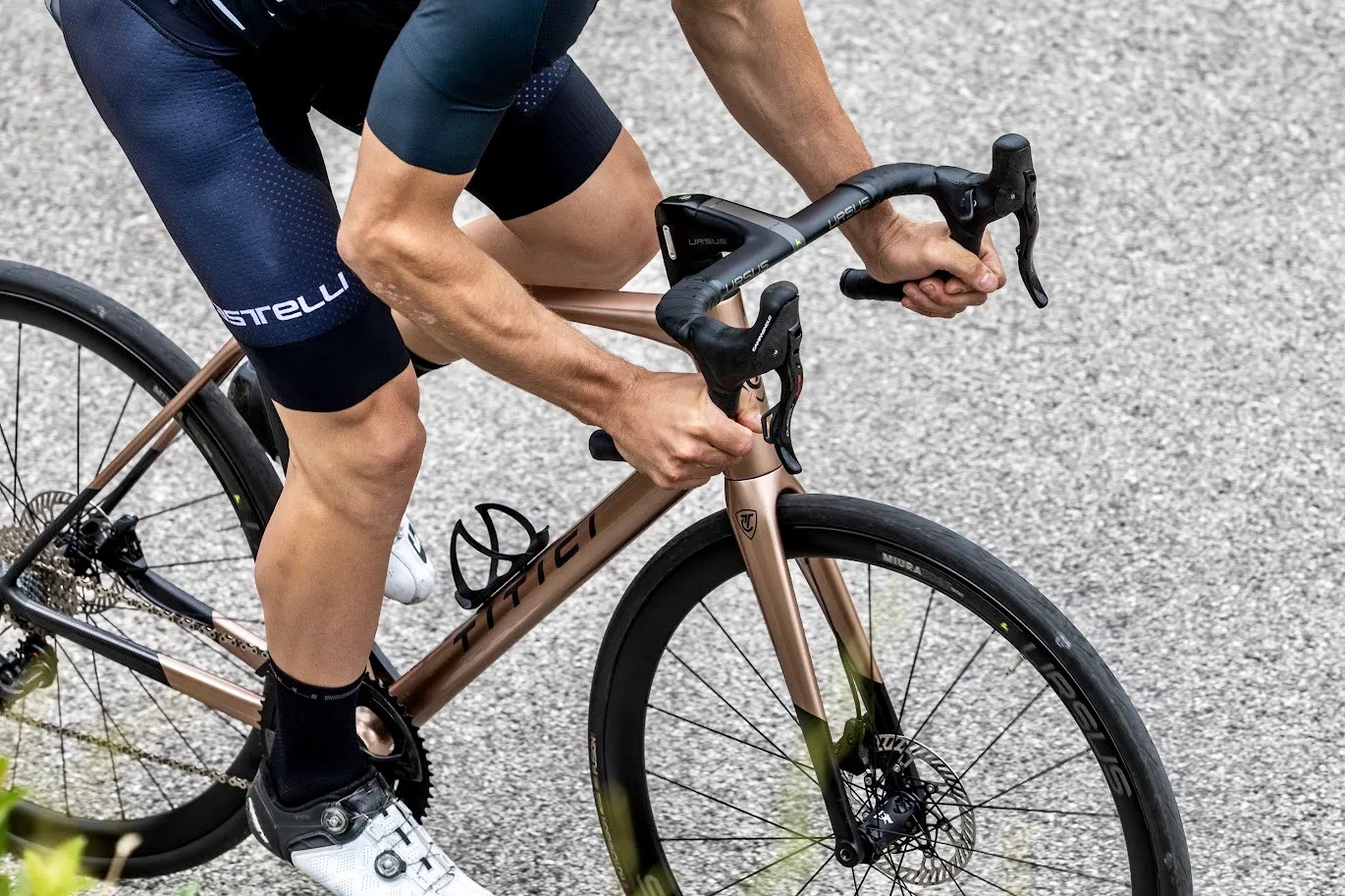 Ursus-Shop -Ursus-Shop 8869 RB 150721 phRobyBragotto Ursus